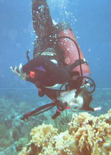 Diving into something new